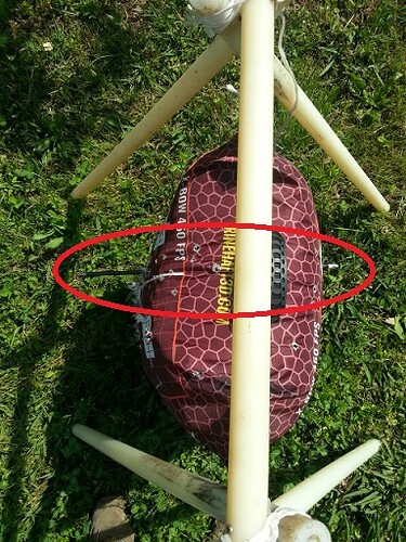 20190424_113051_trapass_1.jpg