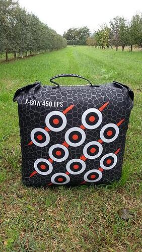 1_20181109_103730_rino1.jpg